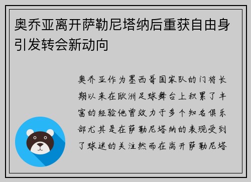 奥乔亚离开萨勒尼塔纳后重获自由身引发转会新动向